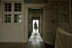 THE DANISH GIRL