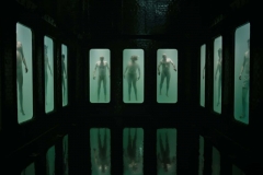 A CURE FOR WELLNESS